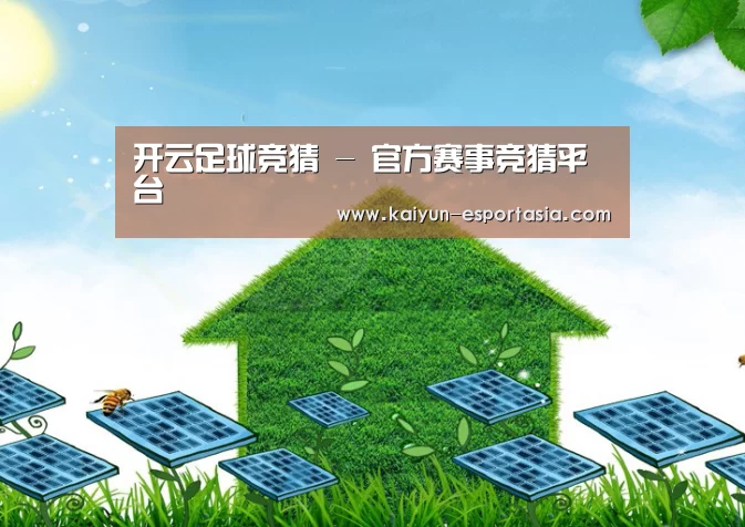 开云足球竞猜公司