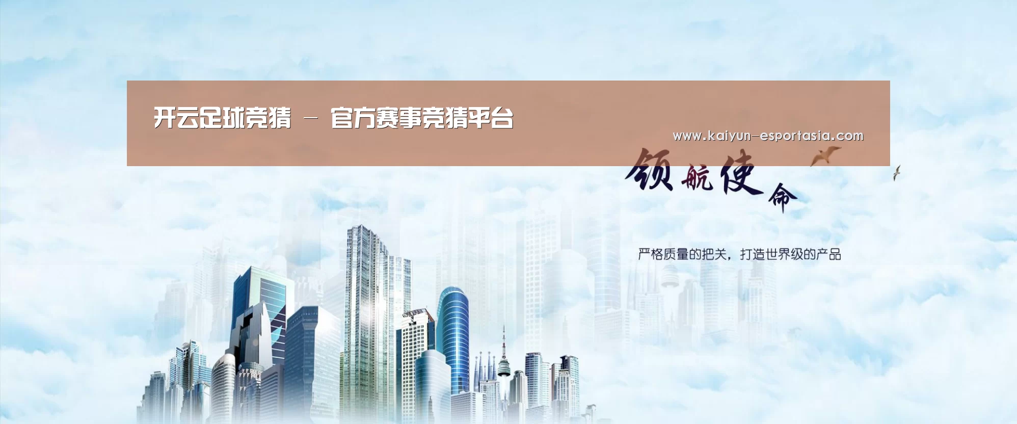 开云足球竞猜公司