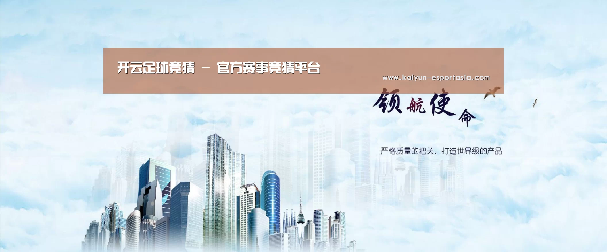 开云足球竞猜公司