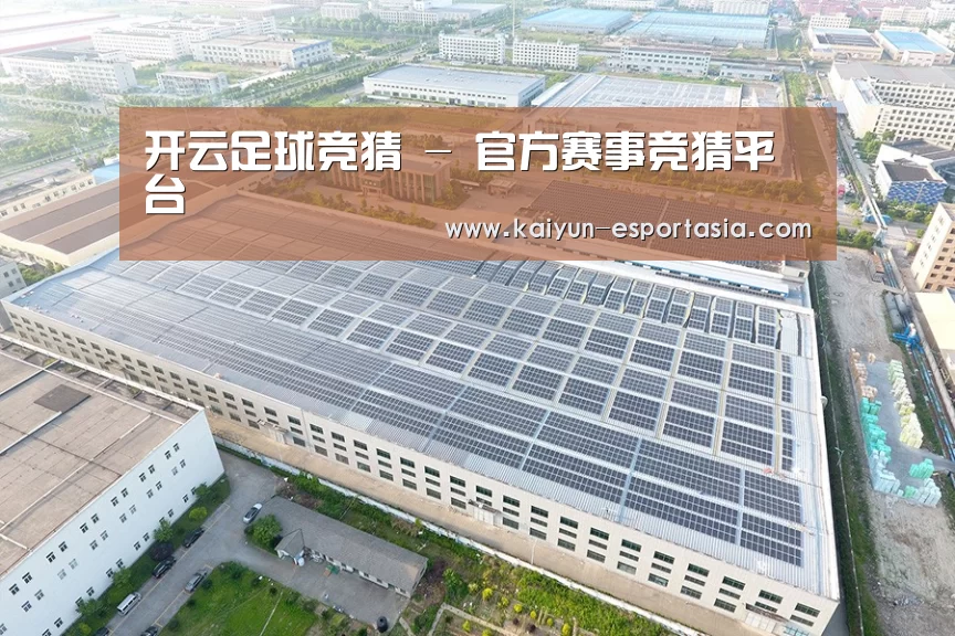 案例展示一
