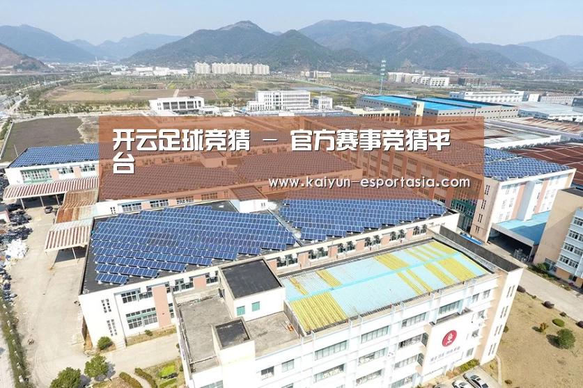 案例展示二