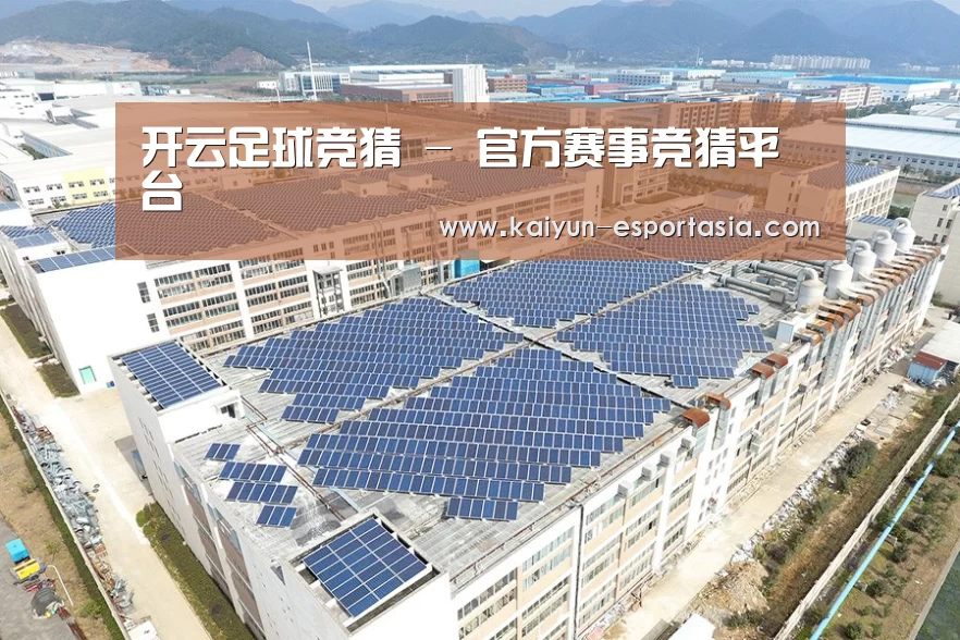 案例展示一