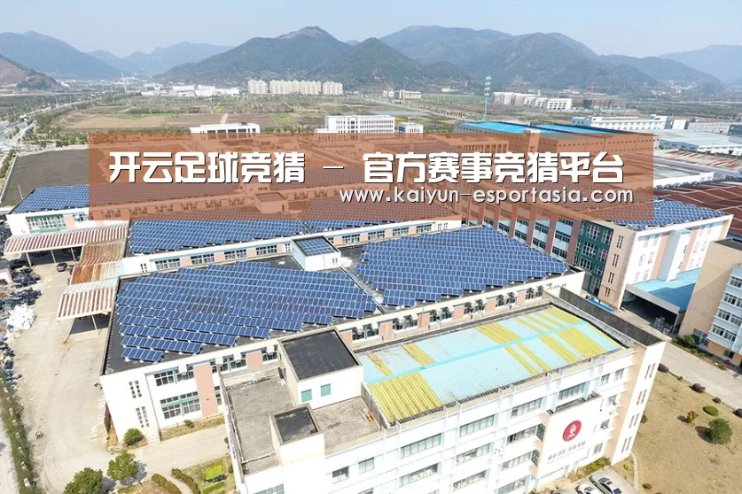 案例展示一