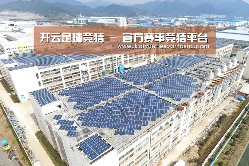 案例展示四
