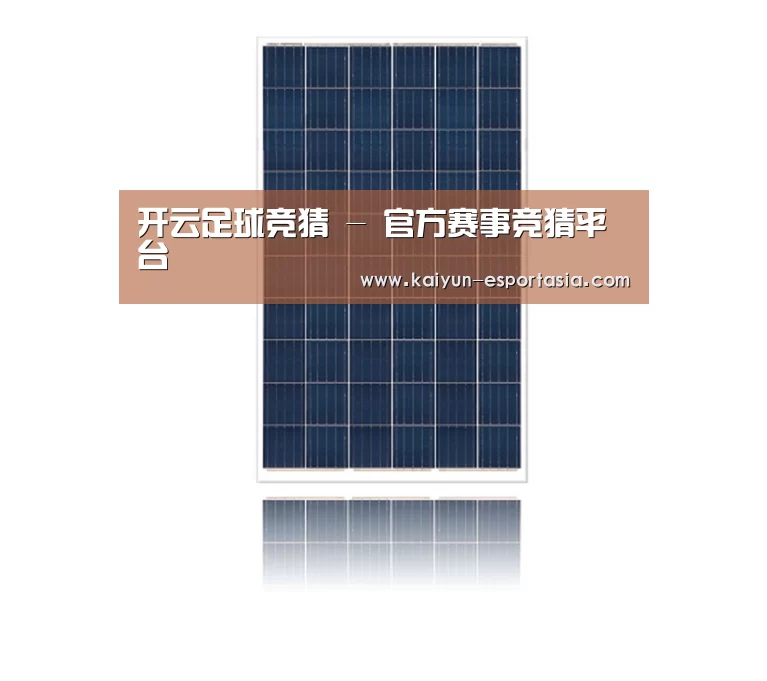 产品名称四