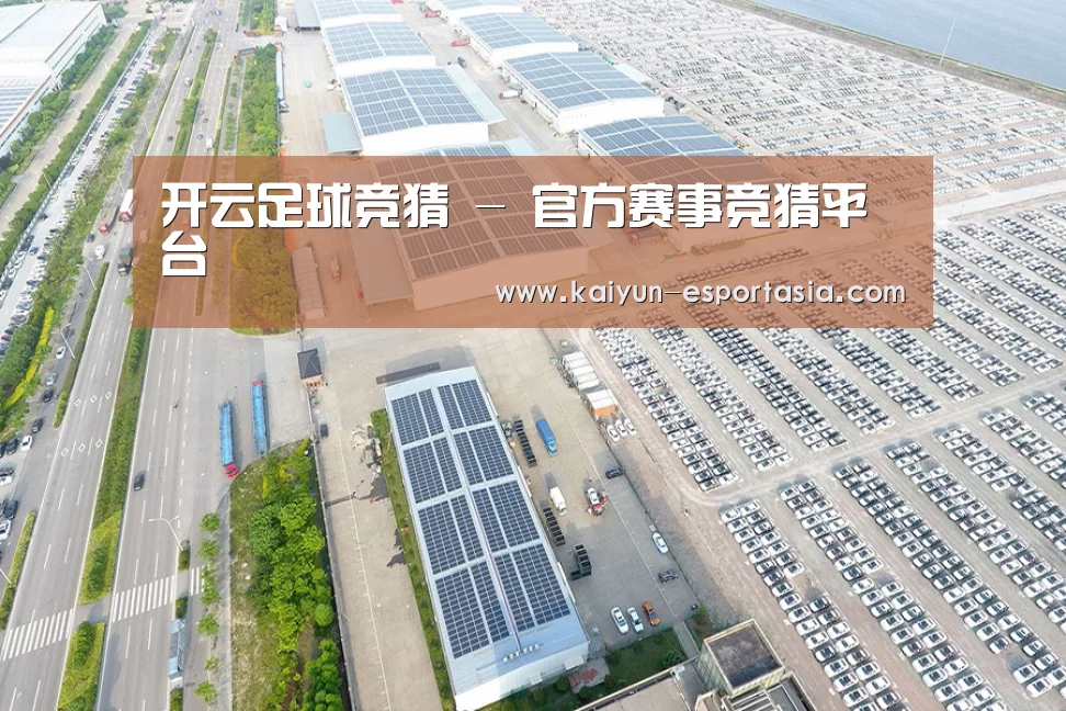案例展示一