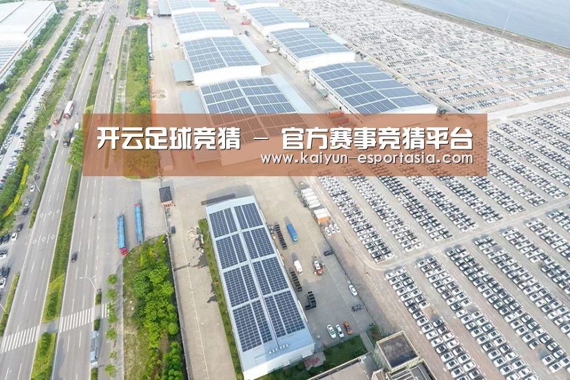案例展示一