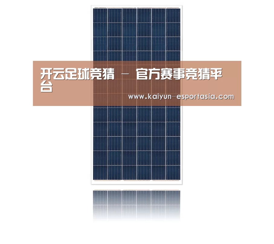产品名称一