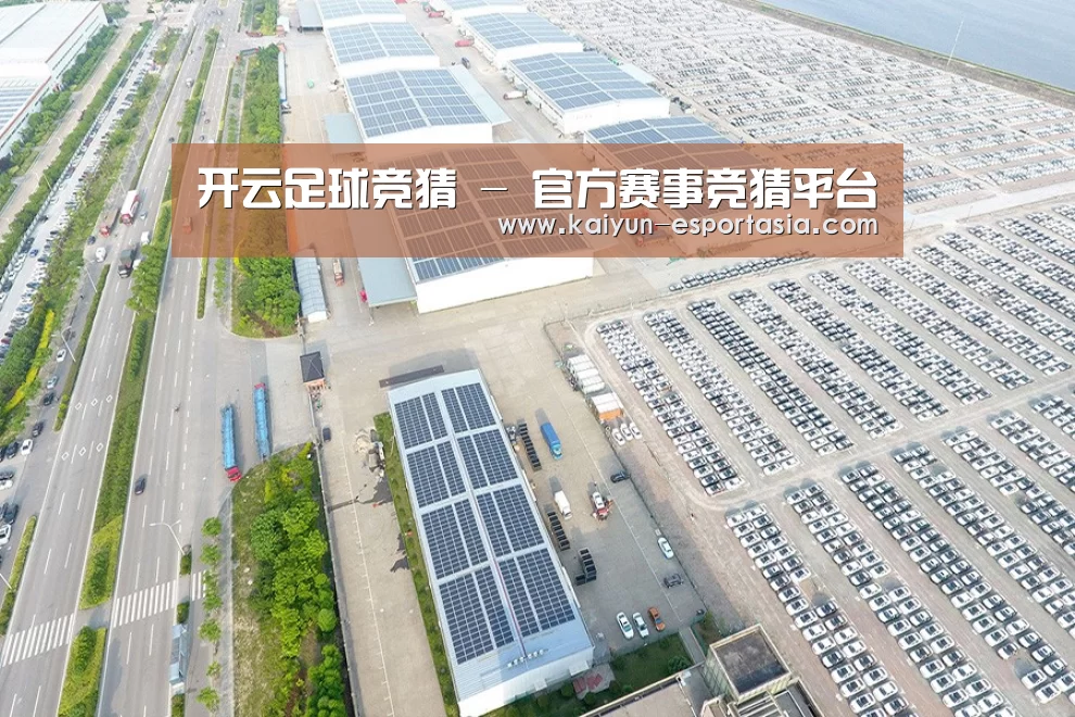 案例展示四