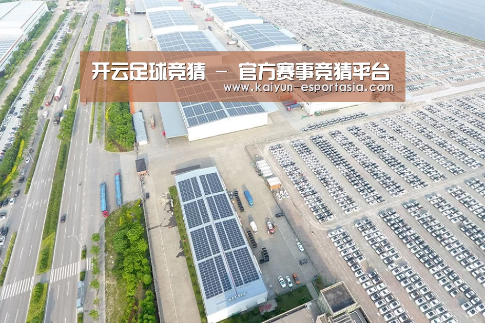 案例展示三