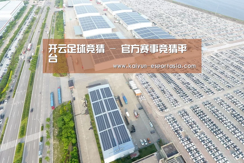 案例展示二