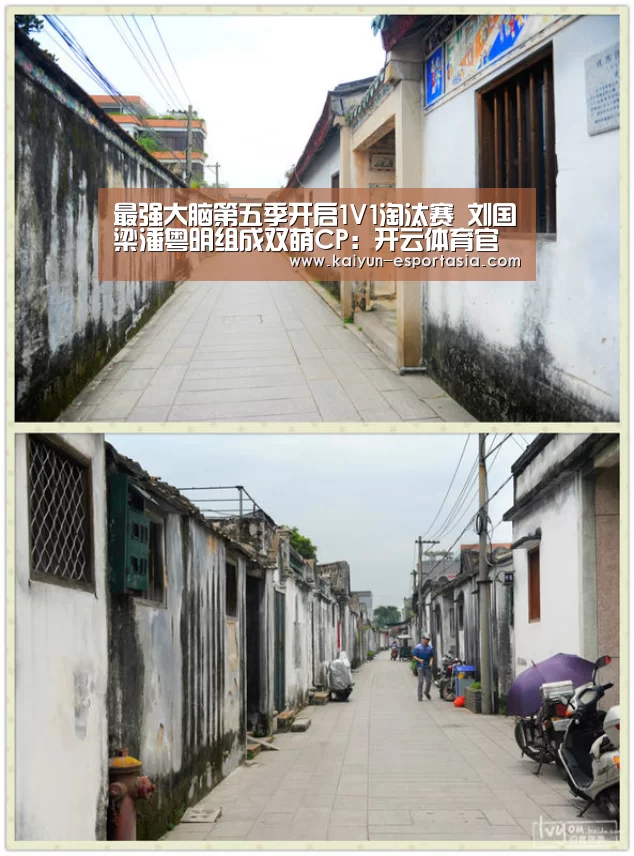 最强大脑第五季开启1V1淘汰赛 刘国梁潘粤明组成双萌CP:开云体育官方网站(图4) 开云体育官方网站